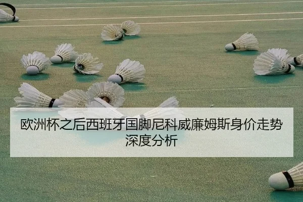 欧洲杯之后西班牙国脚尼科威廉姆斯身价走势深度分析